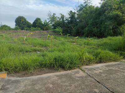 ขายที่ดิน 268 ตรว. ติดมหาวิทยาลัยรังสิต, สถานีรถไฟฟ้าหลักหก จ.ปทุ