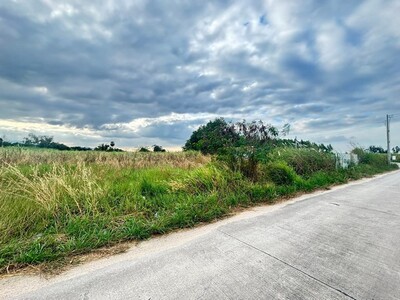 ขายที่ดินถูก  25ไร่ ตำบลหนองบอนแดง อำเภอบ้านบึง จังหวัดชลบุรี