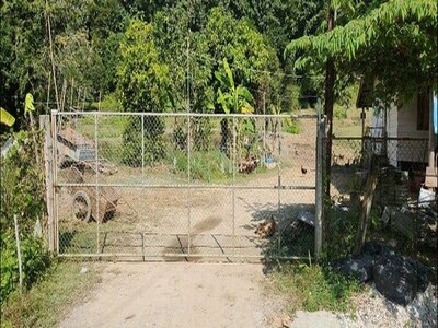 ขายที่ดิน ดอยปู่ไข่  บ้านดู่ ซอยปู่ไข่ 10 เชียงราย จำนวน 11 ไร่ 1