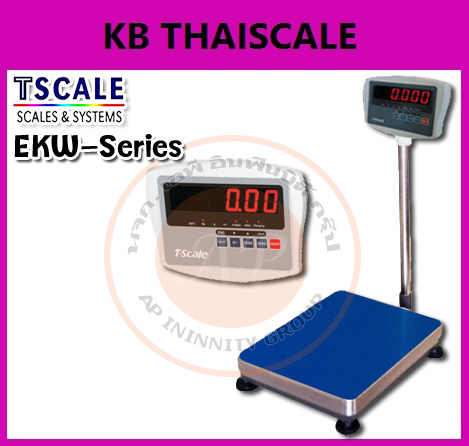 เครื่องชั่งดิจิตอลวางพื้น 30-750kg ยี่ห้อ TSCALE รุ่น Bench Scale ราคาประหยัด