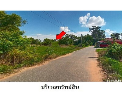 ขายที่ดินว่างเปล่า ต.ลุมพุก อ.คำเขื่อนแก้ว จ.ยโสธร