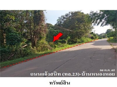 ขายที่ดินว่างเปล่า ต.เขื่องคำ อ.เมืองยโสธร จ.ยโสธร