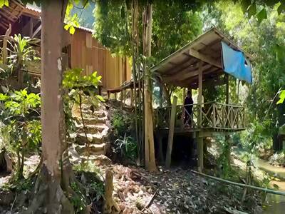 ขายที่ดินพร้อมบ้านไม้ ท่ามกลางธรรมชาติ 