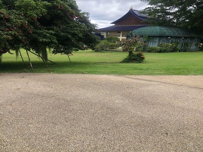 ขายที่ดินแปลงใหญ่ ใกล้แม่ขะจาน ธรรมชาติอุดมสมบูรณ์ 