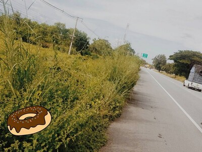 คุ้มน่าลงทุนทรัพย์ในดิน ขายที่่สวยติดถนนพหลโยธิน AH1 บ้านตาก จ. ต