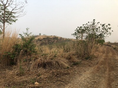 คุ้มค่าลงทุนทรัพย์ในดิน ที่บนเนินเขา สูงจากน้ำทะเล หล่มเก่า เพชรบ