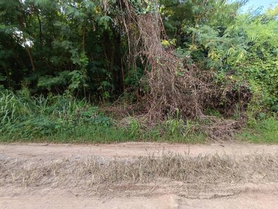 ขายที่ดินเปล่า มวกเหล็ก จังหวัดสระบุรี ราคาโปรโมชั่น ลดพิเศษ