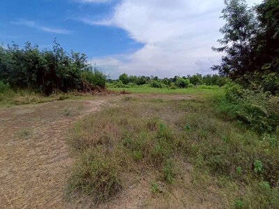 ขาย ที่ดินเปล่า บรบือ มหาสารคาม 