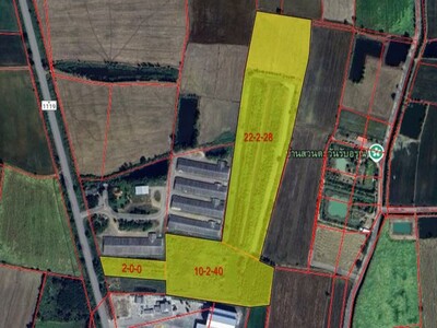 ขายที่ดินพร้อมไม้เศรษฐกิจ 35 ไร่ 68 ตร.ว. โฉนดครุฑแดง ติดถนนสาย 1