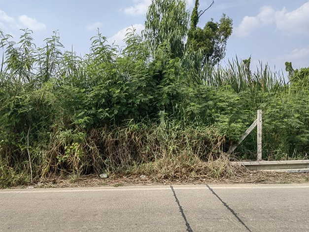 ขายที่ดิน 2 ไร่ ในซอยคลองสาม 1/17 ถนนรังสิต-นครนายก ที่ตั้ง ตำบลคลองสาม อำเภอคลองหลวง เขตปทุมธานี12120