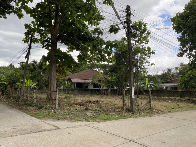 ขายที่ดินทำเลดี ติดถนน 2 ด้าน พร้อมสร้างบ้านได้เลยทำเลดอนแก้วแม่ริม