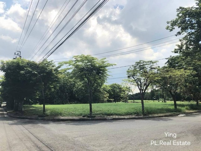 ขายที่ดิน ในสนามกลอฟ์ หมู่บ้าน Lake Wood บางพลี ด้านหลังติด Tee Off วิวสวย