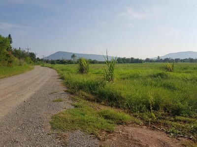 หาที่สวยทรัพย์ดีที่ ขายที่ดินปากช่อง2-8ไร่ โฉนด ต.วังไทร ไร่ละ 2.