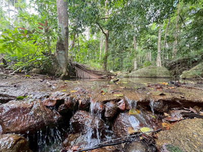 For Sale or Long Lease: 3 Rai of Prime Land  Area of Koh Samui