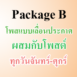 Package B - โพสแบบเลื่อนประกาศผสมกับโพสต์ (ทุกวันจันทร์-ศุกร์)