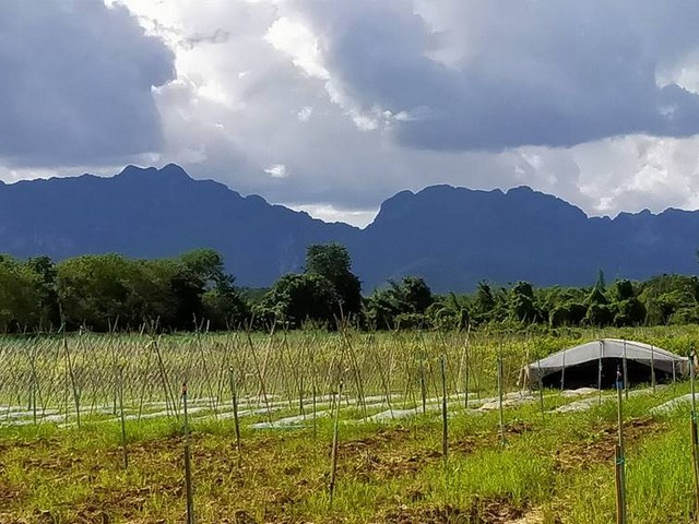 ขายที่ดินทำเลทองติดแม่น้ำ เหมาะสำหรับทำรีสอร์ทหรือบ้านพักตาก  อากาศ อำเภอไทรโยค กาญจนบุรี