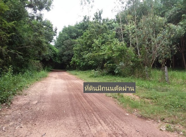 ที่ดินสวยติดลำโดมน้ำ ใกล้แหล่งท่องเที่ยวธรรมชาติ อ.เดชอุดม จ  .อุบลราชธานี ใกล้ปท.ลาว