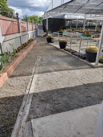 ขายที่ดินพร้อมสิ่งปลูกสร้าง พื้นที่ 200 ตรว. ต.สันทราย จ.เชียงใหม่