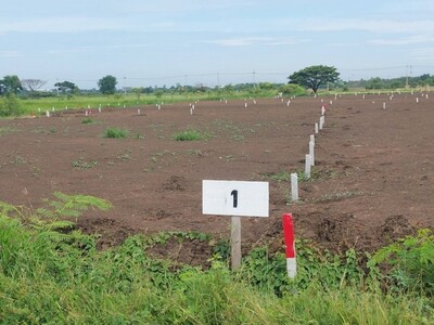 ขายด่วนที่ดินถมแล้วติดถนนสาธารณะ 41 ตร วา 