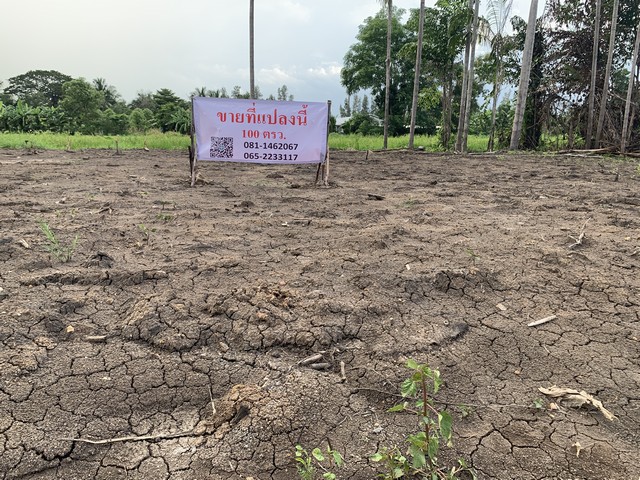 ขายที่ดินติดถนนซอยไอยรา 100 ตรว. คลอง 12 หนองเสือ ปทุมธานี 700,000 บาท