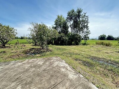 ขายที่ดิน118ว. 826ส. น้ำไฟ ใกล้บ้านถวาย ต.ขุนคง หางดง เชียงใหม่