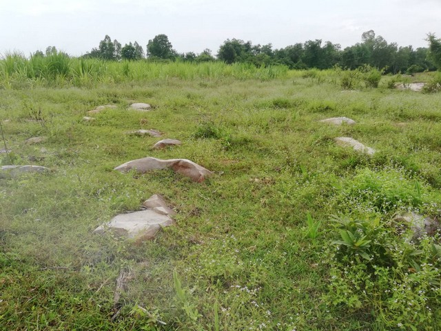 ขายไม่แพงนะคะที่ดินรายล้อมด้วนธรรมชาติแสนสวยติดเขาภูเวียง อยู่ติดภูเขา ภูเวียง ใกล้อุทยานแห่งชาติ ดินดีสมบูรณ์ทรัพย์ในดิน  ตำบลนาจาน อำเภอสีชมพู ฟ้าใสอากาศดีขอนแก่น 