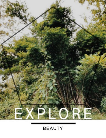 ขายไม่แพงค่ะที่ติดลำธารเมืองน่าน นส.3ก. ค่ะ 850000บาท 3-0-35ไร่ อำเภอสันติสุข น่าน