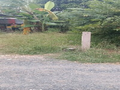 สนใจมีที่สวยๆโซนนี้ไหม  ขายบ้าน262วา ต.โพทะเล อ.ค่ายบางระจัน.สิงห