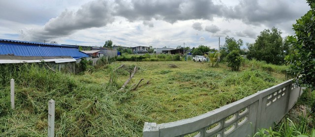 LVPP51561 ขายที่ดินแปลงสวยมาก ถมแล้ว นาวัง ตะเคียนเตี้ย บางละมุง ชลบุรี