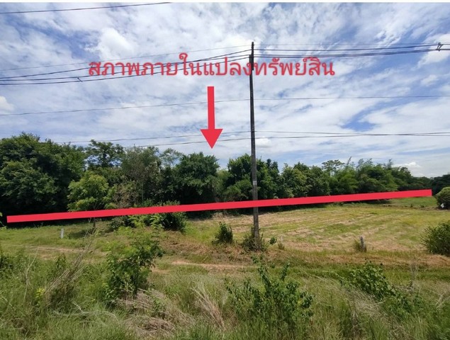 ขาย ที่ดินว่างเปล่า บ้านชำแฮด  อ.บรบือ จ.มหาสารคาม PSC00579