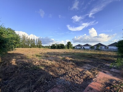 ขายด่วนที่ดิน รวม 8 ไร่ 3 ตร.วา 