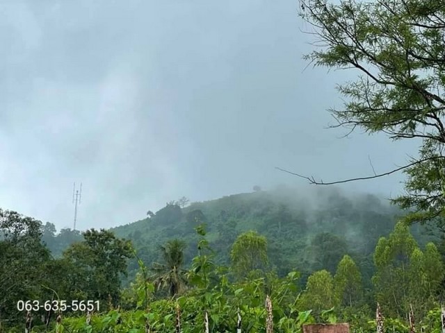 ที่ดินหน้าเขามาแล้วจ้า รูปที่สวย หันทิศตะวันออก ต.เขาพระ อ.เมืองนครนายก ห่างแมคโครนครนายก 12 กม.