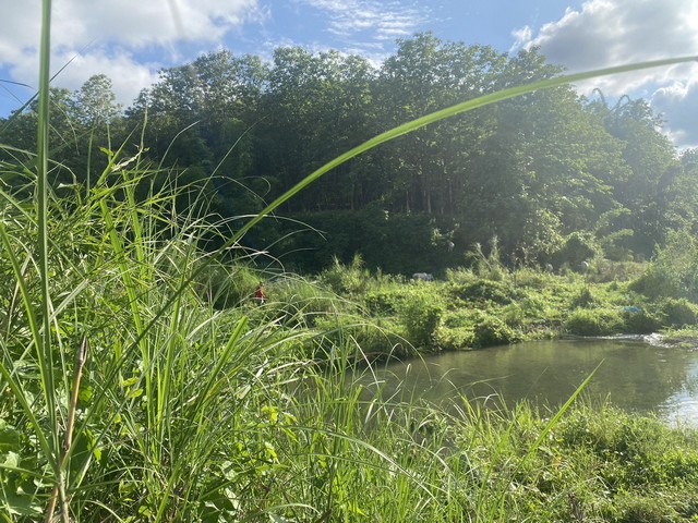ดวงเปิดทรัพยืนำพาโชค ขาย ที่สวยวิวล้าน 800000บาท 3-0-35ไร่ อำเภอสันติสุข น่าน