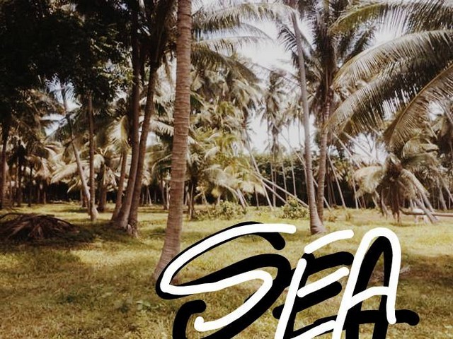 ดวงเปิดทรัพยืนำพาโชค ขายใกล้ทะเลขายถูกเหลือไม่กี่แปลง   หาดผาฝั่งแดง UNSEEN THAILAND 