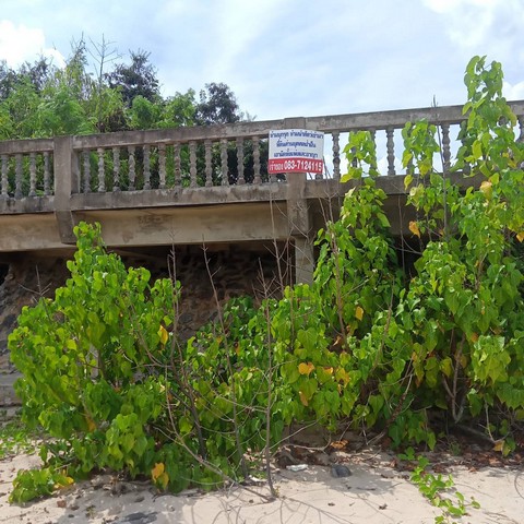 ดวงเปิดทรัพยืนำพาโชค ขายที่ดินริมหาดสะพลีทรายขาวน้ำใสคราม สวยงามวิวทะเลธรรมชาติสุดสุด ปะทิวใกล้หาดสวยทุ่งวัวแล่น  