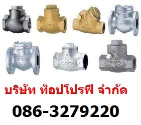 สวิงเช็ควาล์ว บอลเช็ควาล์ว วูซังวาล์ว เช็ควาล์วกันย้อนกลับ เช็ควาล์ว แพนเช็ควาล์ว Check Valve 0863279220