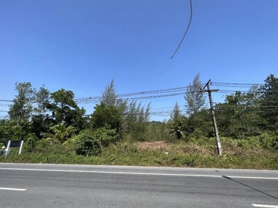 ขายที่ดินว่างเปล่ามือสอง อำเภอตะกั่วป่า  พังงา