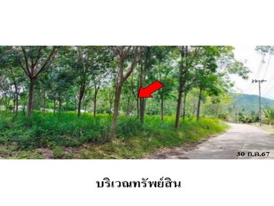 ขายที่ดินว่างเปล่า ตำบล หน้าเมือง อำเภอ เกาะสมุย สุราษฎร์ธานี