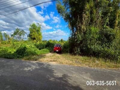 ขายยกแปลง 29 ไร่ 2 งาน 84 ตรว ที่สวย ต.เกาะโพธิ์ อ.ปากพลี จ.นครนา