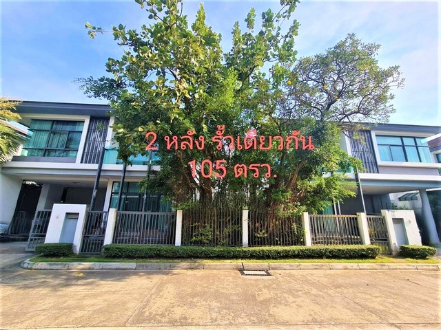 ขายถูกบ้านเดี่ยวเศรษฐสิริ 2 หลัง ในรั้วเดียวกัน ติดถนนเลียบคลองประปา แจ้งวัฒนะ-ประชาชื่น 2  เนื้อที่ 105 ตรว  อ..ปากเกร็ด จ.นนทบุรี