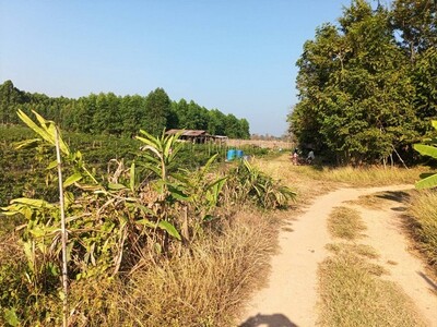 คุ้มค่าน่าลงทุนทรัพย์ในดิน  ขายที่ติดน้ำโขง ต.กุดบง โพนพิสัย หนอง