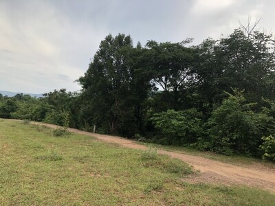 คุ้มค่าน่าลงทุนทรัพย์ในดิน  ที่สวยติดเขา เทือกเขายา ขอนแก่น