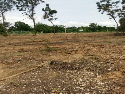 คุ้มลงทุนทรัพย์ในดิน ร ขายที่ติดแม่น้ำน่าน ต.โคกหม้อ ชุมแสง.นครสว