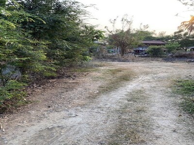 คุ้มค่าลงทุนทรัพย์ในดิน ขายบ้าน262วา ต.โพทะเล อ.ค่ายบางระจัน.สิงห