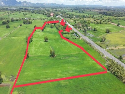 ขายที่ดินที่นาภาคกลาง18ไร่ถนนลาดยางเสาไห้สระบุรี0934415691