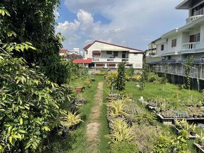 ขายที่ดิน 209 ตร.ว. สุขุมวิท77 อ่อนนุช 14 ซอยกว้าง ใกล้ People Pa