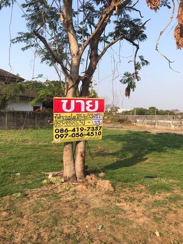 ขาย ที่ดิน  229 ตร.ว  หมู่บ้าน กรีนเลค บางนาตราด กม 13 ในราชาเทวะ บางพลี  ZJ011 