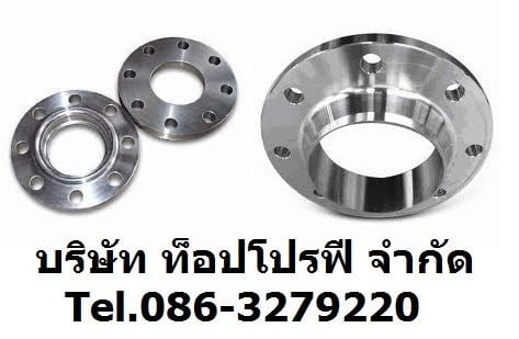 หน้าแปลนเหล็ก หน้าแปลนสแตนเลส หน้าแปลนเหล็กคาร์บอน หน้าแปลนเชื่อมเหล็กดำ Flange อุปกรณ์ฟิตติ้ง 0863279220