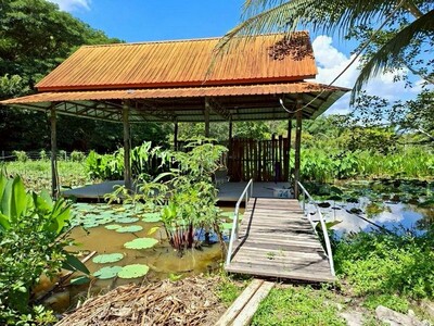 บ้านพร้อมที่ดินผืนใหญ่ วิวดอย บรรยากาศดีมาก แม่แตง