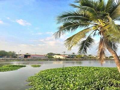 ให้เช่าบ้านเดี่ยวชั้นเดียว รีโนเวทใหม่ อยู่ตำบลบางปลา 